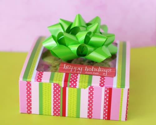 christmas cookies to give