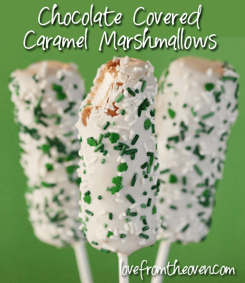 Chocolate Covered Caramel Marshmallow Pops by Love From The Oven