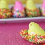 Chocolate Dipped Peeps-2829