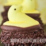 Frosting Creations Cupcake
