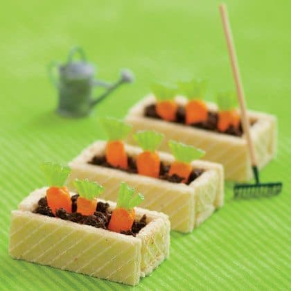 carrot-patch-cookies-recipe-photo-420-FF0411TOTM_A01