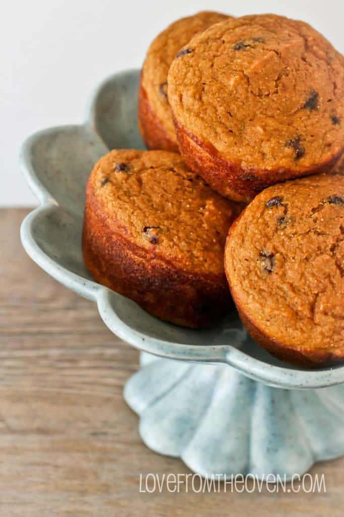 Pumpkin Chocolate Chip Muffins