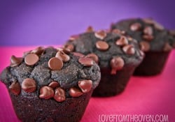 Chocolate Muffin Recipe by Love From The Oven Chocolate Muffin Recipe by Love From The Oven