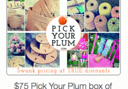 Pick Your Plum Giveaway on Facebook Pick Your Plum Giveaway on Facebook