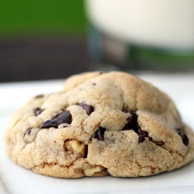 a close up of a chocolate chip cookie