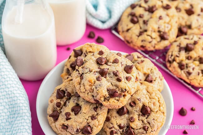 A plate of chocolate chip cookies