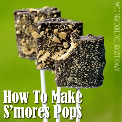 How To Make S'mores Pops Tutorial at Love From The Oven