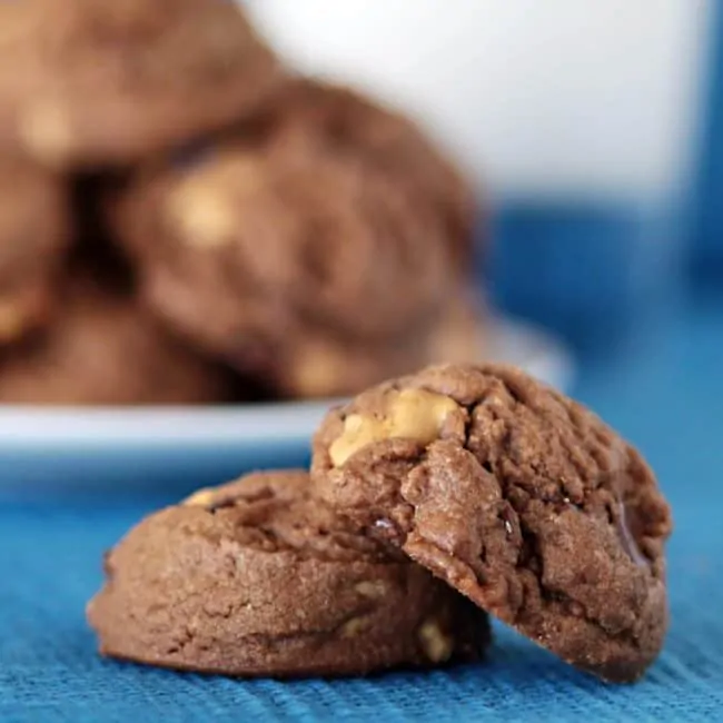 The best chocolate and peanut butter cookies ever.