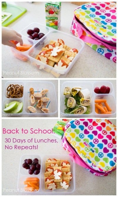 50 Tips, Tricks and Ideas For Packing Great School Lunches • Love From ...