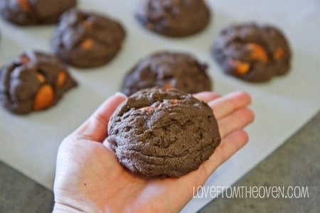 Dark Chocolate Almond Cookies-6