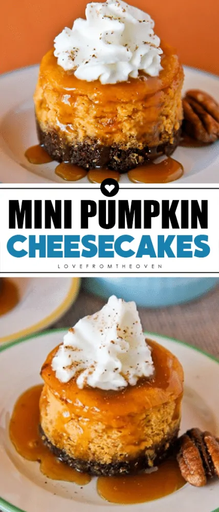 Mini Pumpkin Cheesecakes #pumpkincheesecake #minipumpkinpie #pumpkindesserts #thanksgivingdesserts