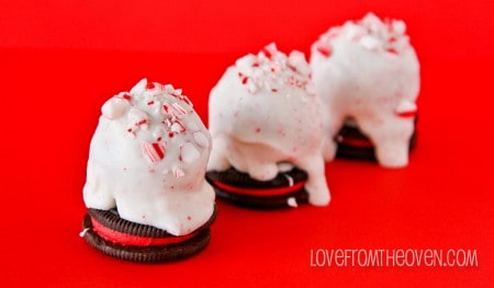 Candy Cane Truffles