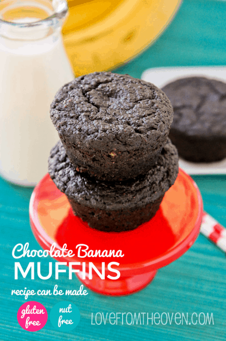 Gluten And Nut Free Muffin Recipe