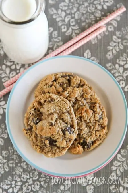 Delicious Flour Free Oatmeal Cookies