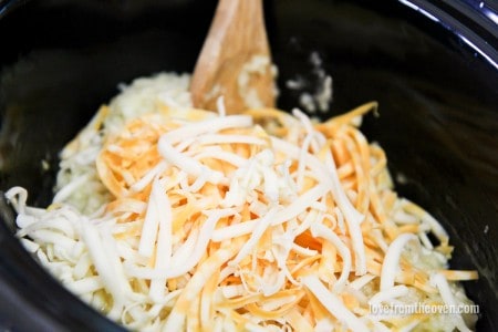 Cheese Risotto