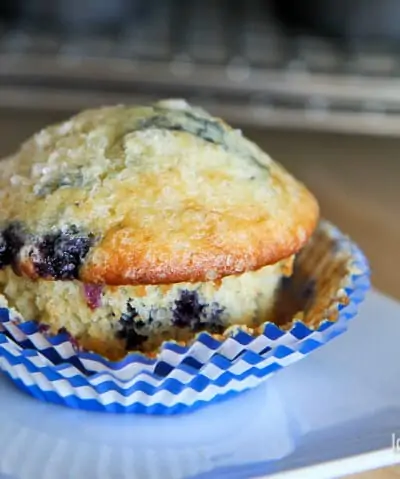 Blueberry Muffin Recipe