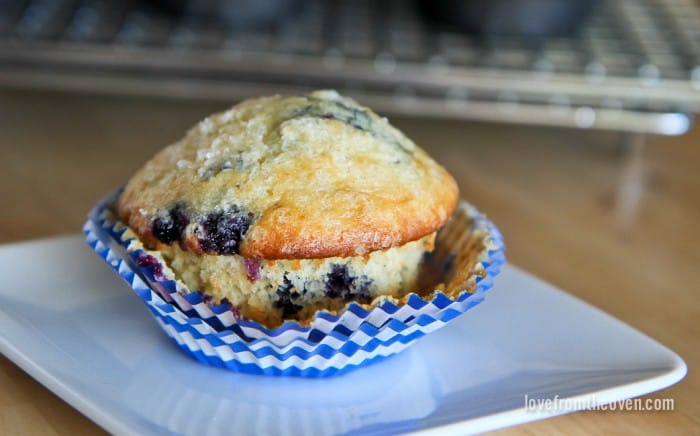 Blueberry Muffins Recipes