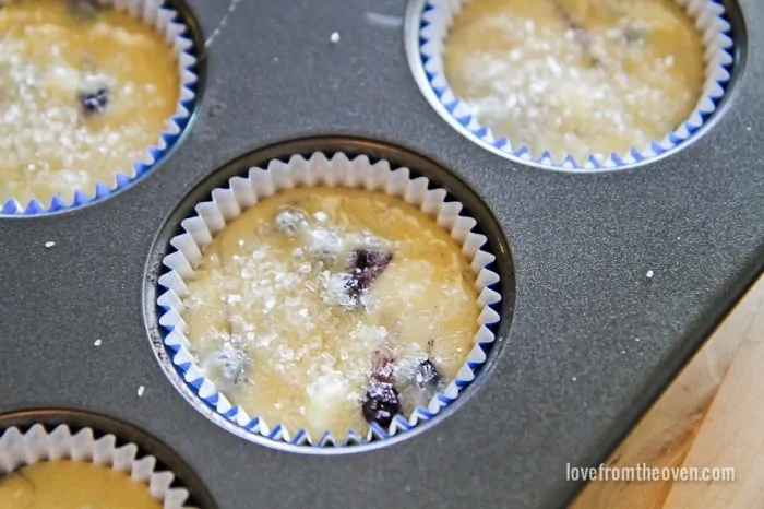 Gluten Free Blueberry Muffins