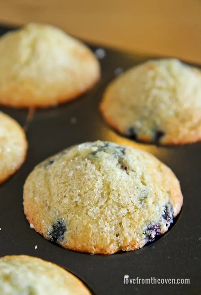 Gluten Free Muffins