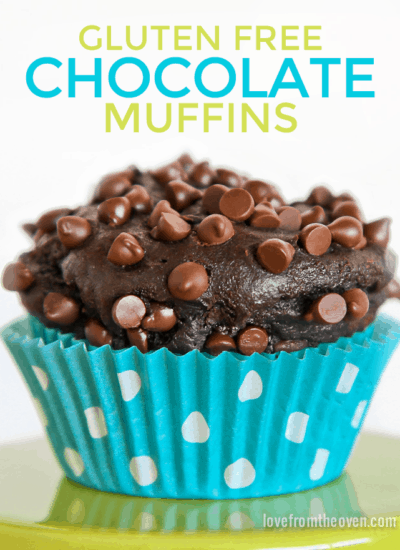 Gluten Free Chocolate Chocolate Chip Muffins