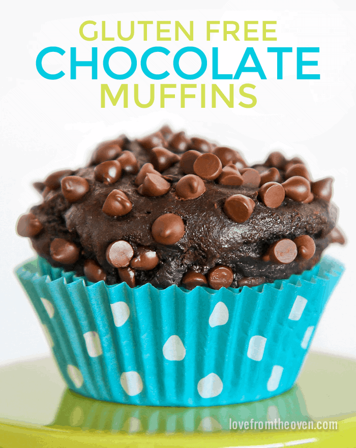 Gluten Free Chocolate Chocolate Chip Muffins