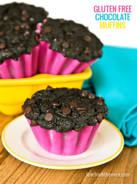 Gluten Free Double Chocolate Muffin Recipe