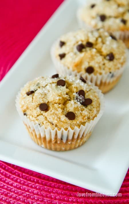 Chocolate Chip Muffin Recipe