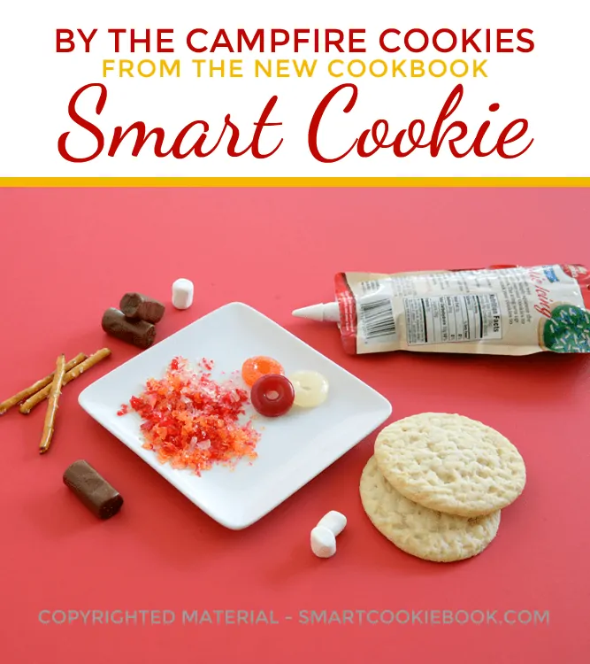 By The Campfire Cookies from SMART COOKIE Cookbook by Christi Johnstone