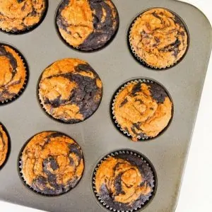 Chocolate Pumpkin Muffin Recipe