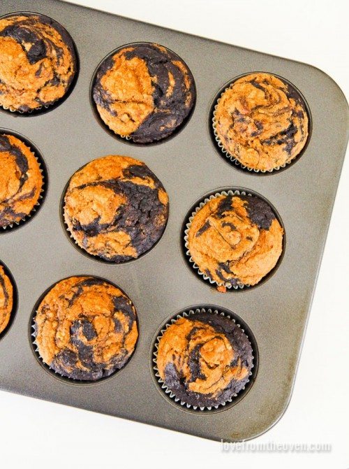 Chocolate Pumpkin Muffin Recipe