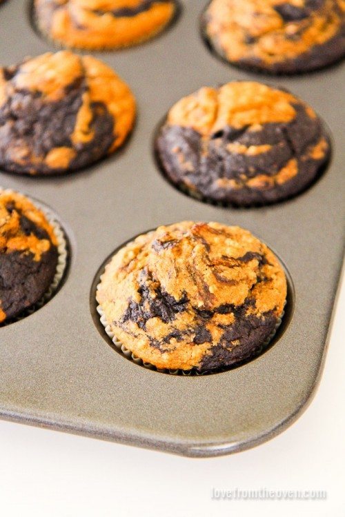 Chocolate Pumpkin Swirl Muffins