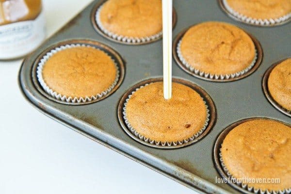 Recipe for pumpkin cupcakes