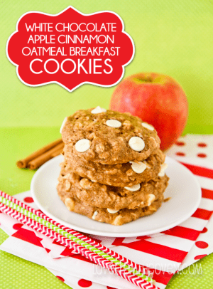 Breakfast Cookie Recipes