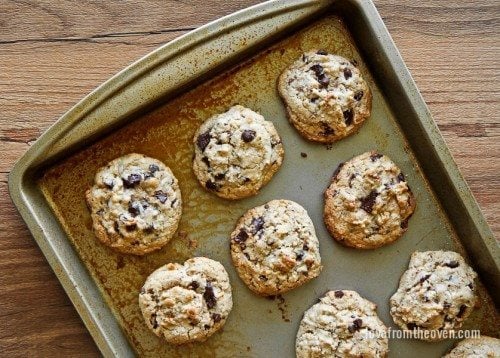 Chocolate Chip Graham Cracker Cookies-0681