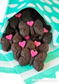 Chocolate Spritz Cookies