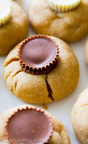 Peanut Butter Cup Blossom Cookies