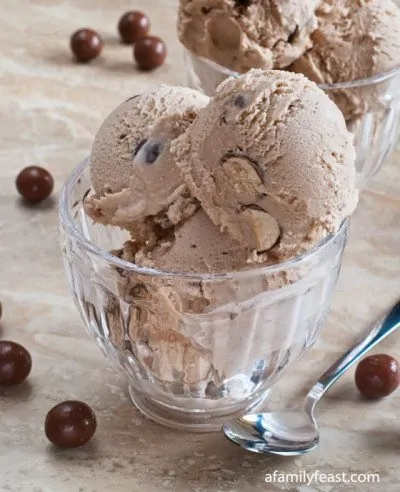 Chocolate Malted Ice Cream