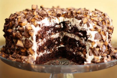 Chocolate Peanut Butter Cup Cake