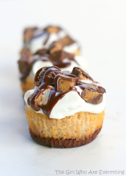 Reese's Peanut Butter Mini Cheesecakes