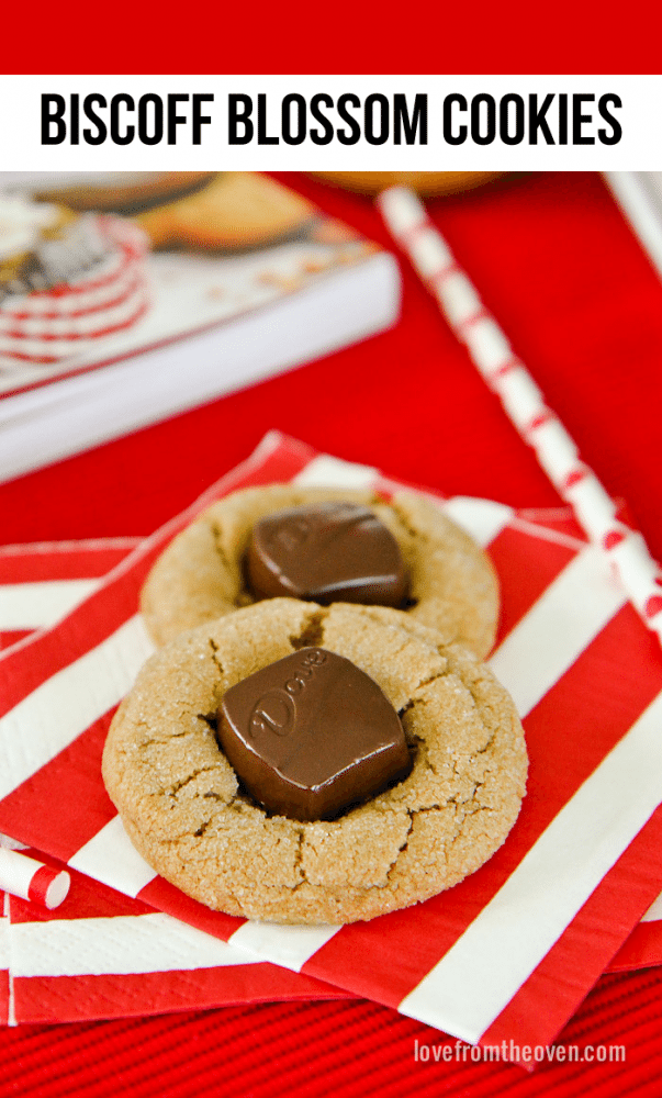 Biscoff Blossom Cookies 