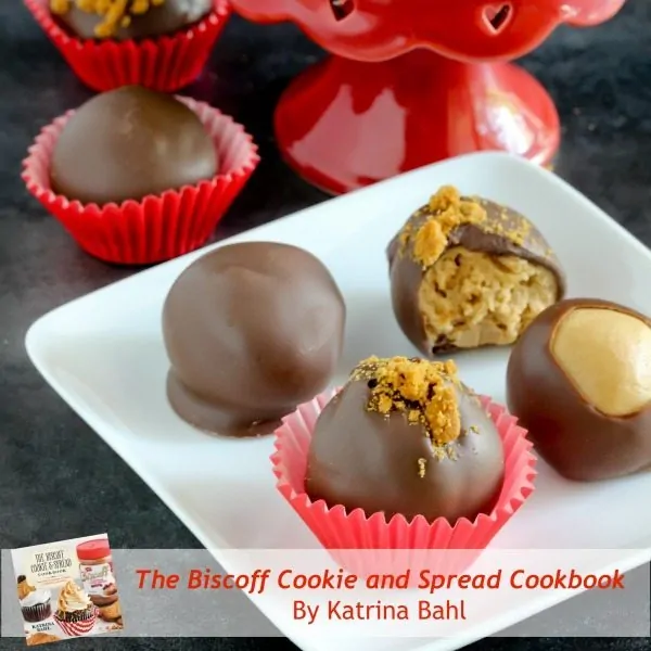 The Biscoff Cookie & Spread Cookbook