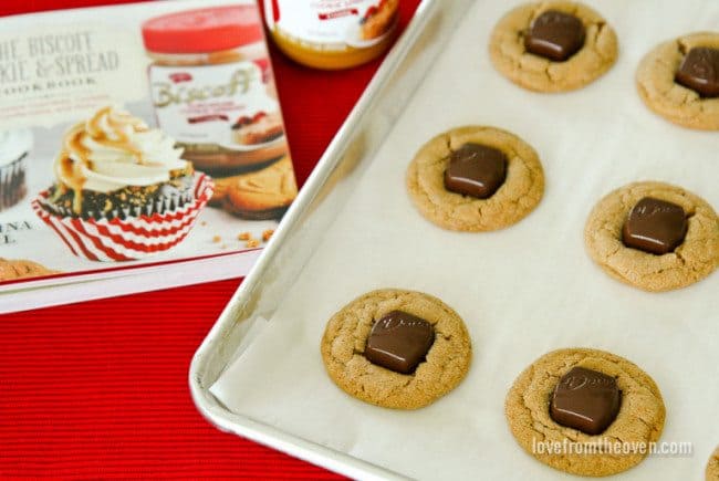 Biscoff Cookies