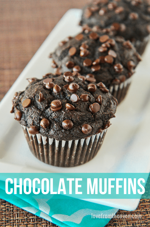 Chocolate Chip Muffin Recipe