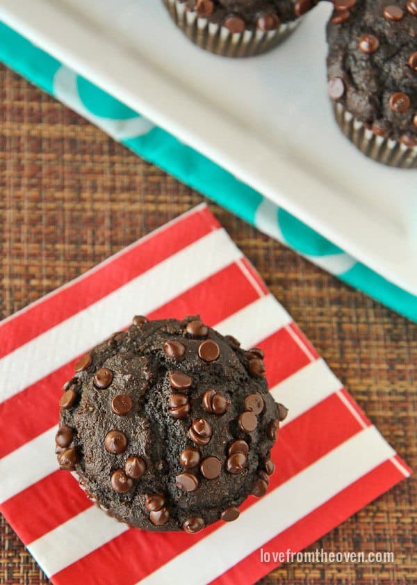 Chocolate Muffin Recipe