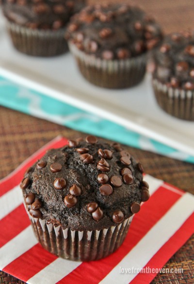 Chocolate Muffin Recipe