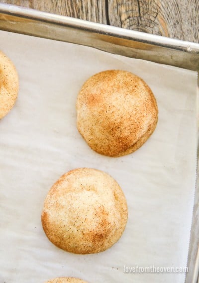 Soft Snickerdoodle Recipe