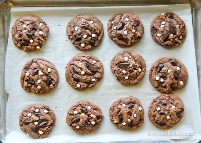 Hot Chocolate Cookies