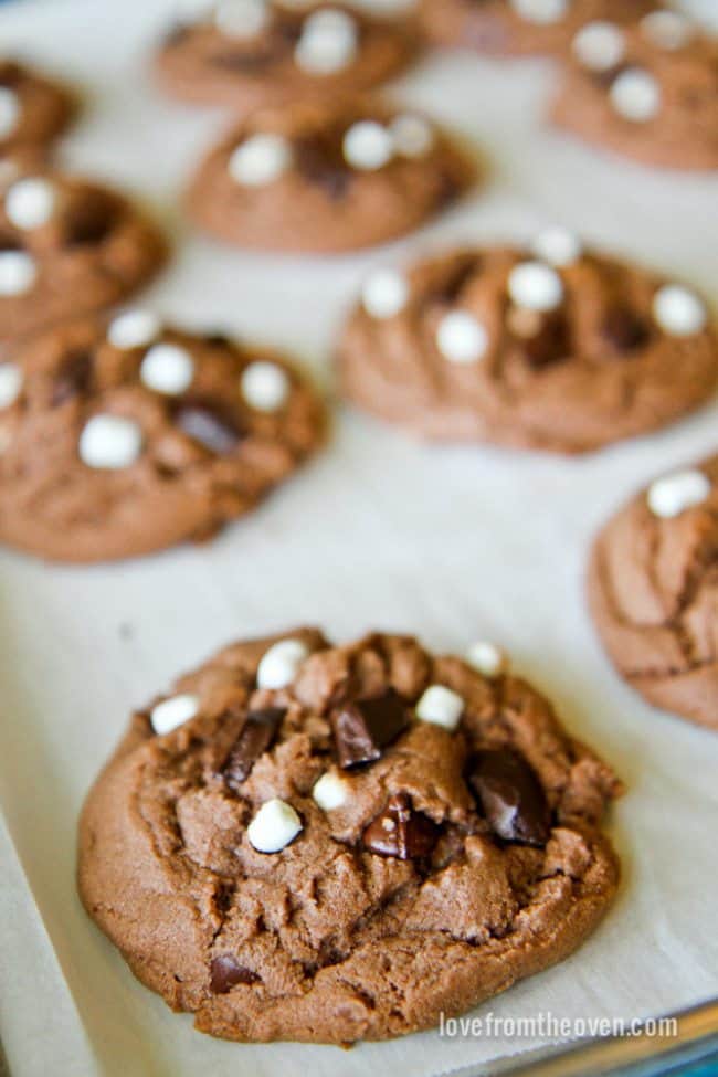 Hot Chocolate Cookies