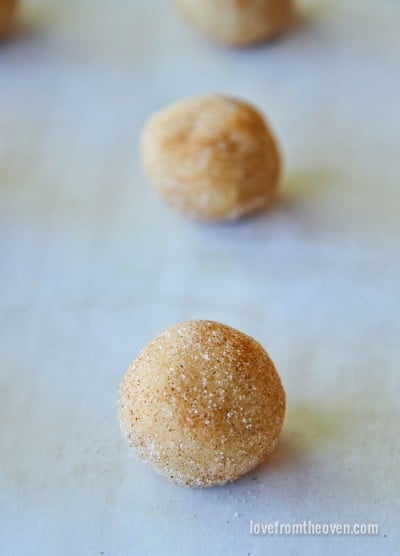 Snickerdoodle Recipe