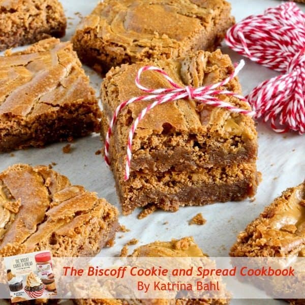 Fudgy-Biscoff-Swirl-Brownies